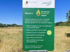 Distel 30-31-min.jpg